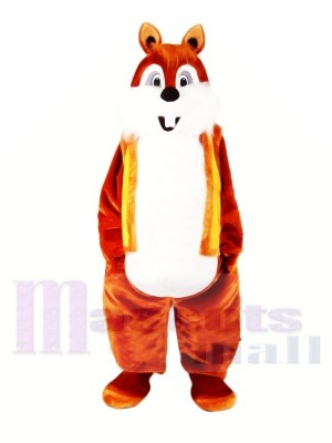 Super mignon chipmunk Costumes De Mascotte