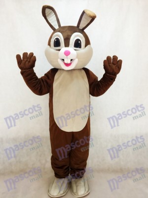 Nouveau costume de mascotte de lapin de Pâques au chocolat