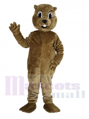 marron Marmotte Mascotte Costume Animal