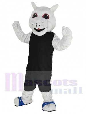 Écureuil costume de mascotte