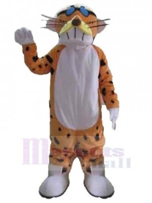 Tigre costume de mascotte