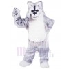 Loup costume de mascotte