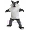 Loup costume de mascotte