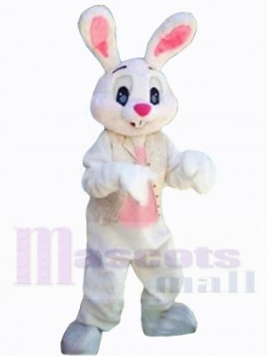 Joli lapin de Pâques Mascotte Costume Animal
