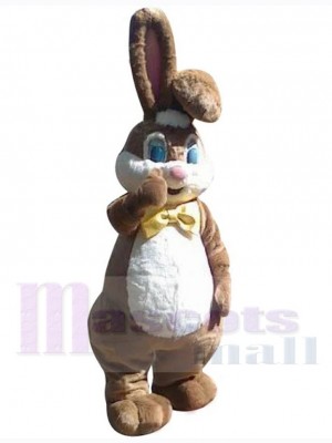 Lapin de Pâques heureux brun Mascotte Costume Animal