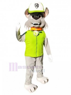 Costume de mascotte de chien gris rocheux de patrouille de patte dans la bande dessinée verte de gilet