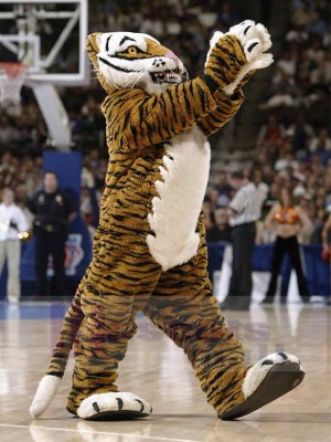 Tigre costume de mascotte