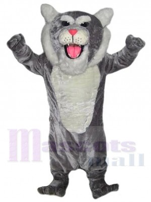 Tigre costume de mascotte