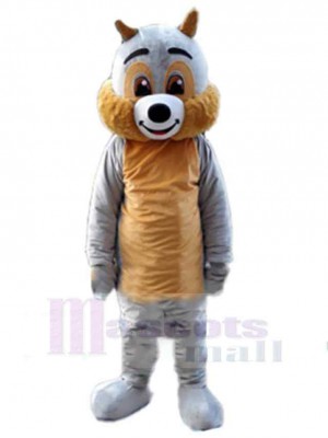 Écureuil costume de mascotte