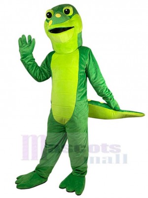 Crocodile costume de mascotte